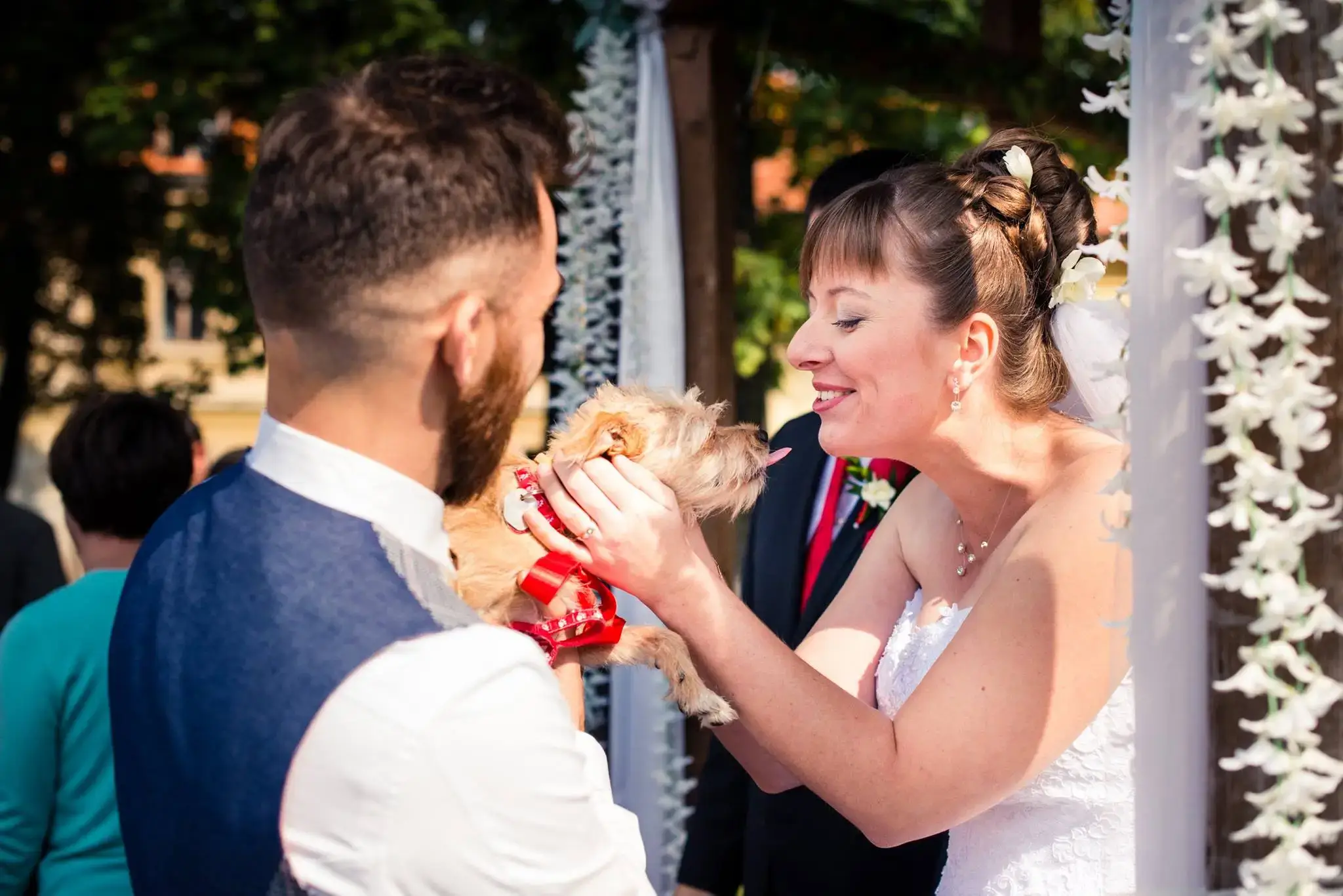 Catherine Shiflett Photography, wedding photography, bride and groom, celebration