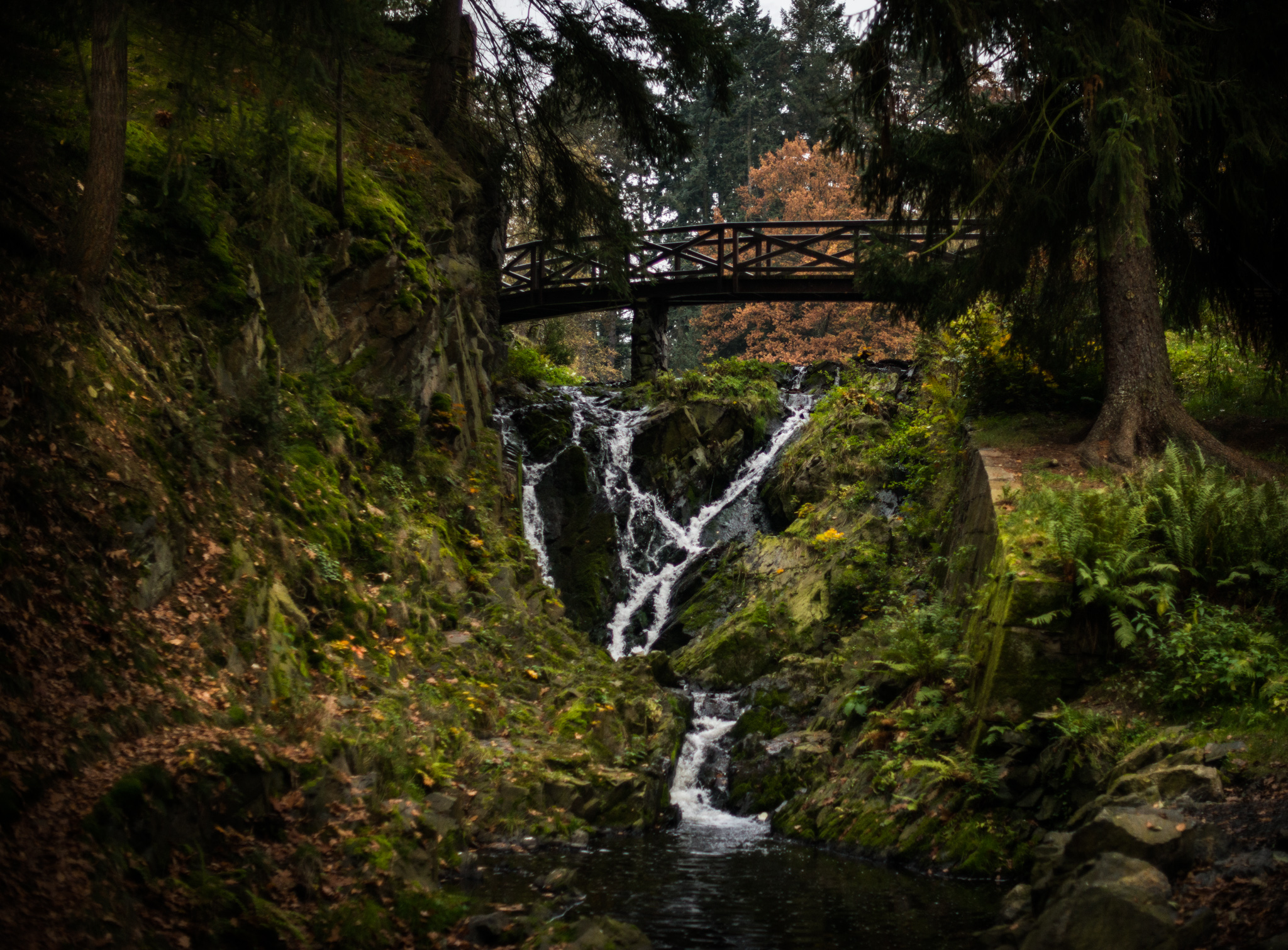 Catherine Shiflett Photography, forest stream, Czech Republic, shot on Nikon D800