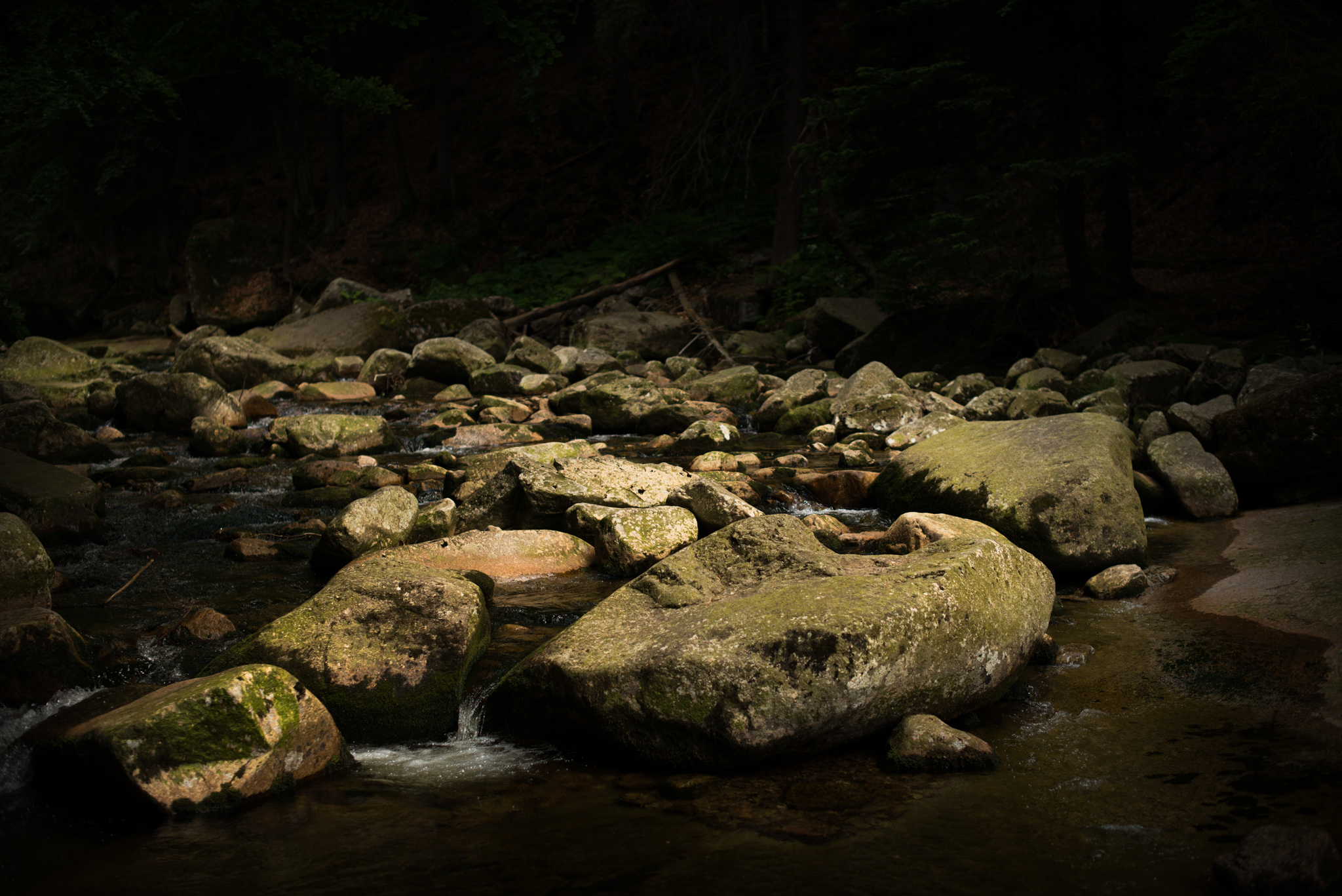 Catherine Shiflett Photography, Krkonose, rocks in the forest, shot on Nikon D800