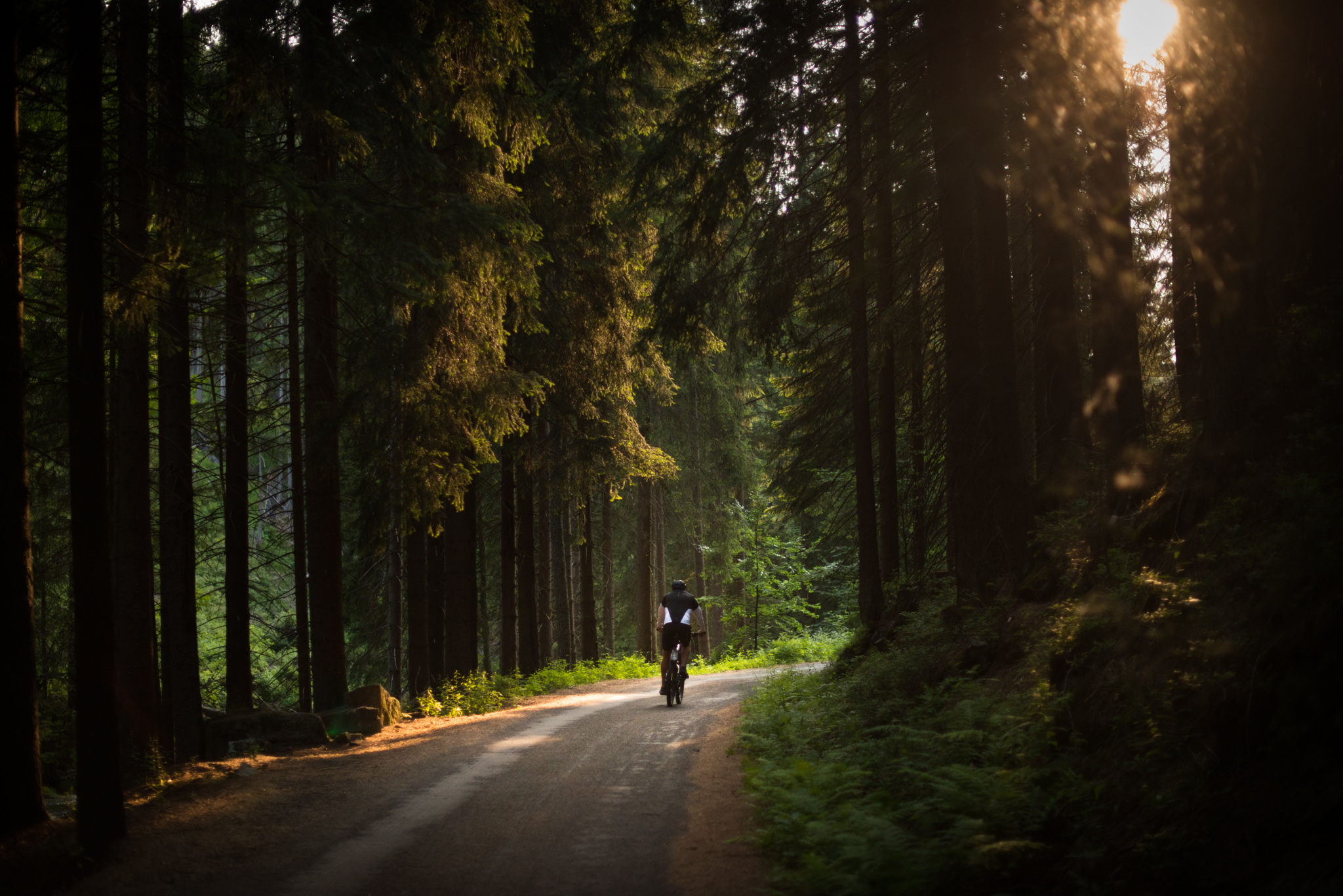 Catherine Shiflett Photography, man cycling through a forest at golden hour, Krkonose, shot on Nikon D800