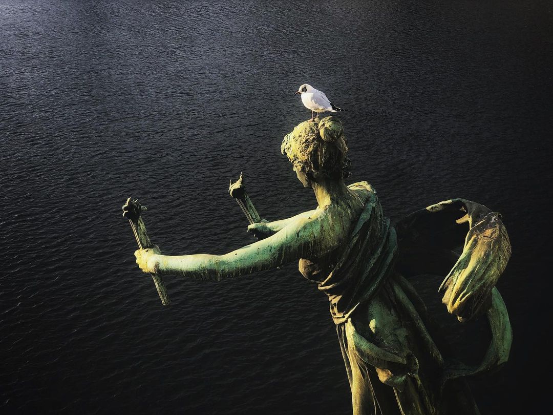 Catherine Shiflett Photography, bird on a statue, Prague, shot on Nikon D800