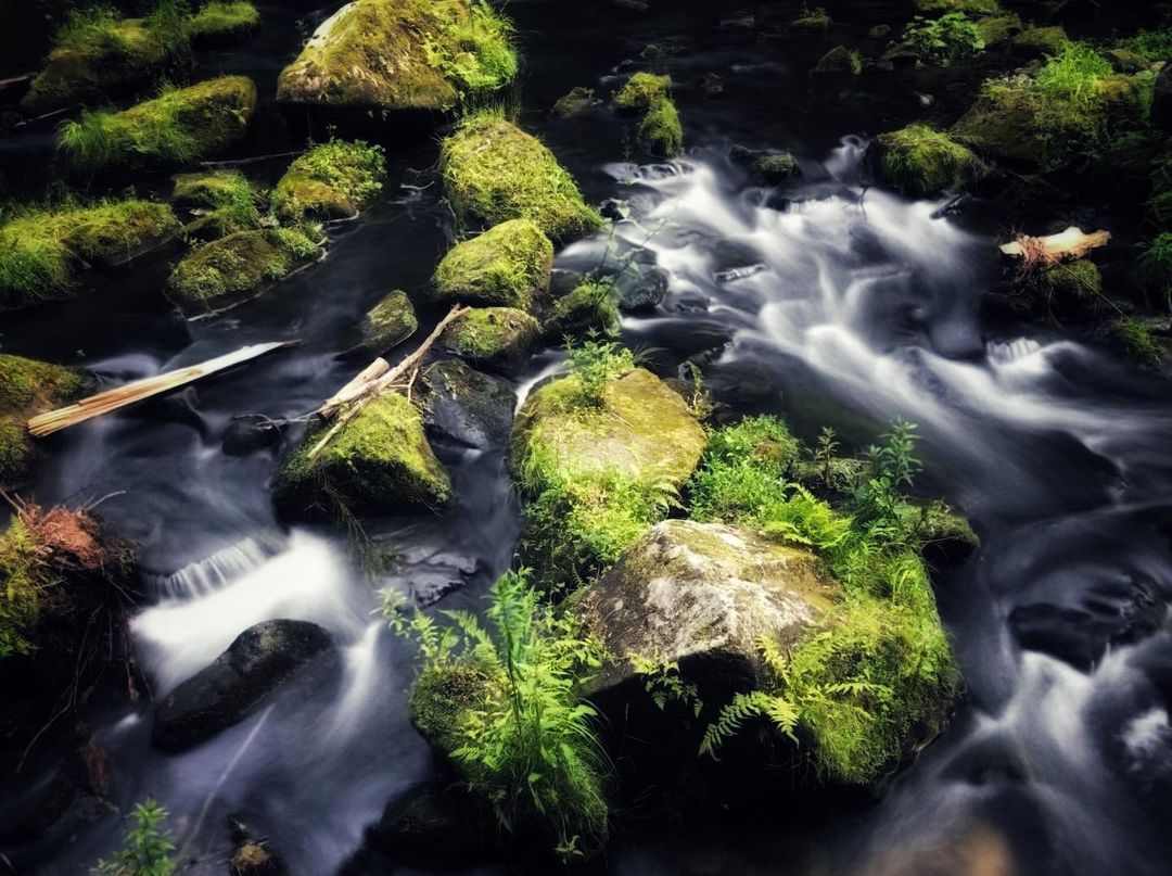 Catherine Shiflett Photography, mountain stream, shot on Nikon D800